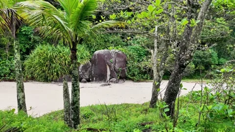 Smooth Forward Shot Towards Big Rock Formation on Tropical Sandy Beach Stock-Footage 347222205