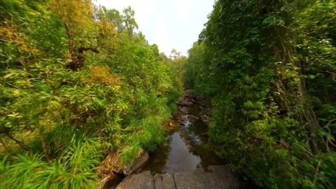 Smooth FPV flight over stream through green tropical forest in Thailand Stock Footage 279615077