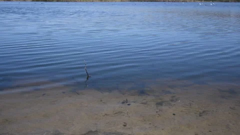 Smooth gentle waves on blue lagoon creek Stock Footage 172570121