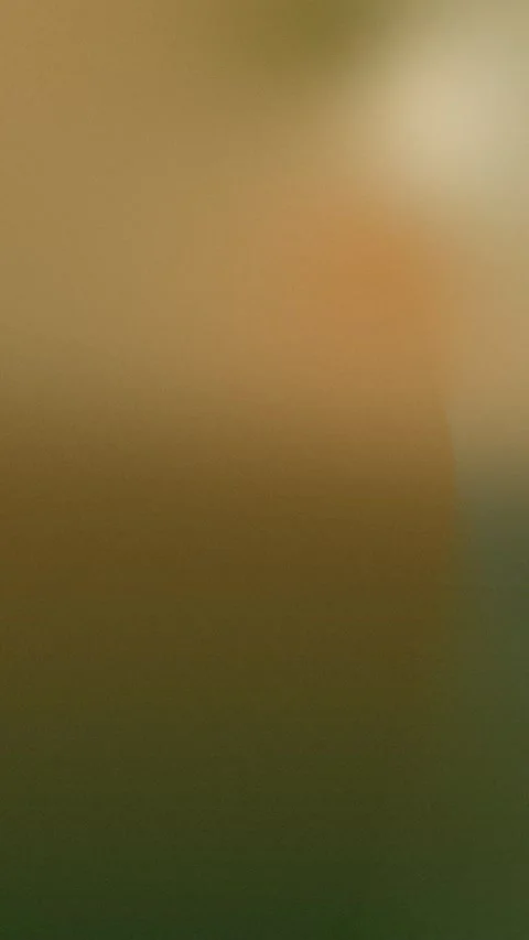 Smooth gradient with blended earthy tones and soft transitions. Seamless loop Stock Footage 305344813