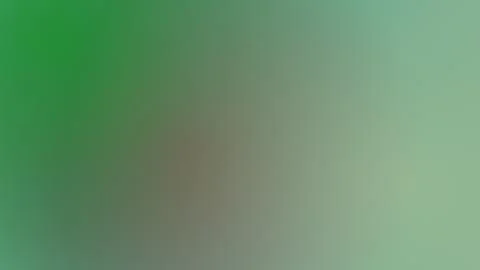 Smooth Green Gradient Background with Soft Abstract Texture and Minimalist .. イラスト素材