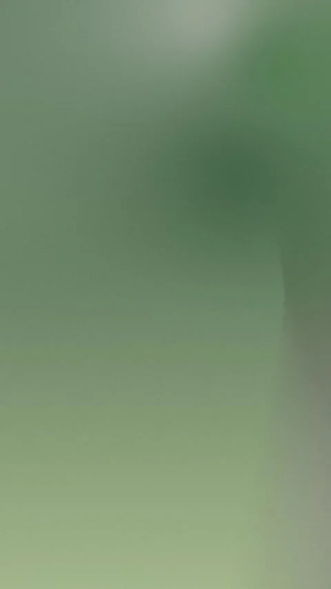 Smooth green gradient with subtle grain texture, soft blending, seamless loop Stock Footage 309855873