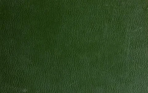 Smooth Green Leather Texture Background with Fine Natural Patterns Stock Photos