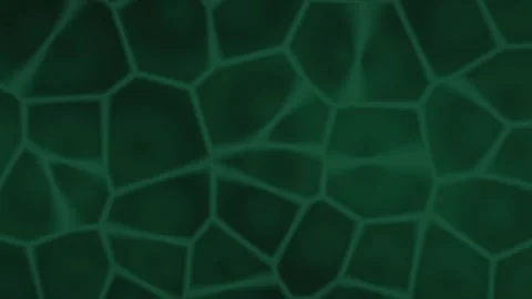 Smooth green textured background with a pattern of shapes Stock Footage 340208065