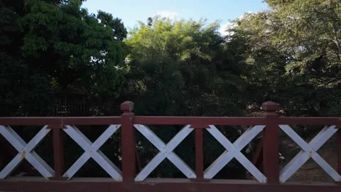 Smooth lateral slide of rustic wooden bridge railing and green trees Stock Footage 339298205