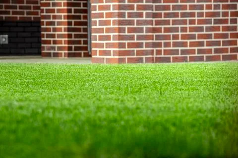 Smooth lawn in the backyard Stock Photos