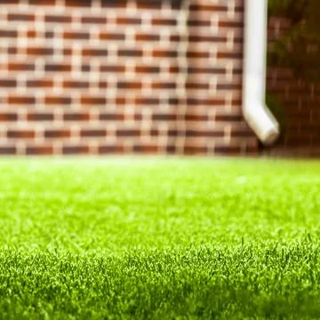Smooth lawn in the backyard Stock Photos