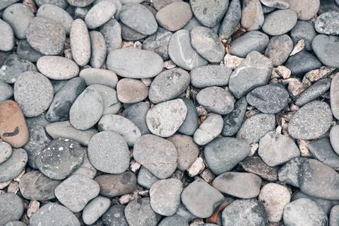 Smooth Light Pebbles Closeup Texture Stock Photos