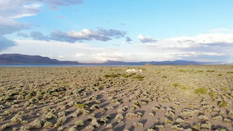 Smooth Low Flight over Sage Brush at Golden Hour Pyramid Lake Nevada Video stock 110774973