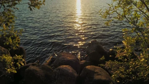 Smooth motion of the camera on the lake shore towards sunset. Karelia, Russia. Stock Footage 143295046