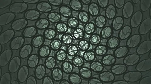 Smooth motion Stock Footage 79758724