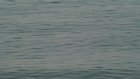 Smooth motion of sea surface with soft colors. Vídeos de archivo 333224388