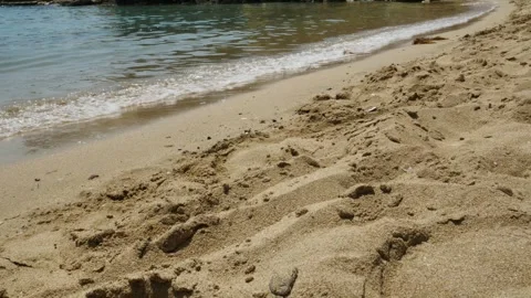 Smooth movement across the sand to the sea water Stock Footage 336335028