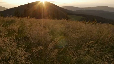 Smooth movement along grass in the mountains during a sunset Vídeos de archivo 77566785