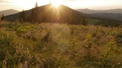 Smooth movement along grass in the mountains during a sunset Stock Footage 77567153