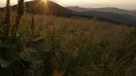 Smooth movement along grass in the mountains during a sunset Vídeos de archivo 77619815