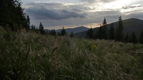 Smooth movement along grass in the mountains during a sunset Vídeos de archivo 77620187