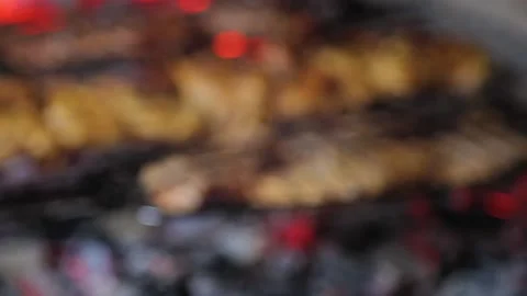 Smooth movement of focus from bokeh to close-ups of meat on skewers and grill Stock Footage 153584690