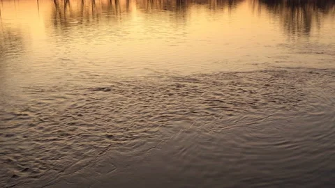 Smooth movement of water on the surface of the city pond at the sunset Video stock 111430878