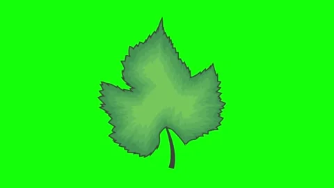 A smooth moving looping stylized green leaf illustration 스톡 동영상 326182519