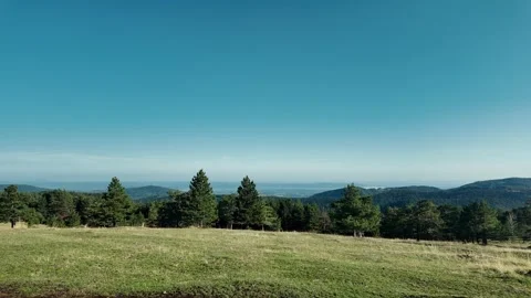 Smooth moving video of a green mountain meadow with pine forest and distant Stock Footage 325742300