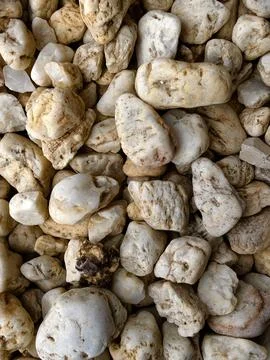 Smooth natural river pebbles background texture. Round sea rock stones top vi Stock Photos
