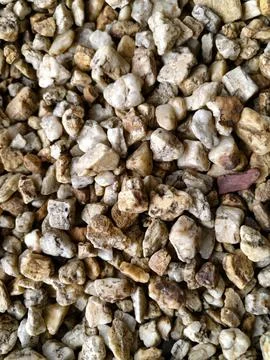 Smooth natural river pebbles background texture. Round sea rock stones top view Stock Photos