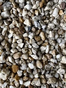 Smooth natural river pebbles background texture. Round sea rock stones top view Stock Photos
