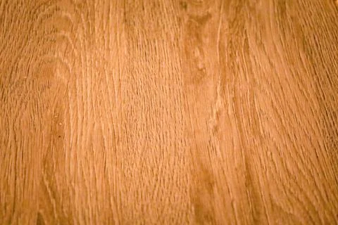 Smooth oak surface captures warm light, highlighting natural grain and text.. Stock Photos