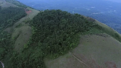 Smooth pan of a hilltop forest 動画素材 90897095