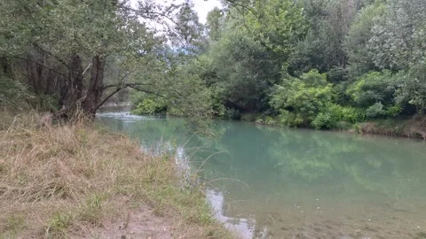 Smooth pan scene of a river flowing in a forest Stock Footage 314291473