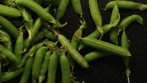 Smooth panning over large pile of raw green pea pods Stock Footage 338395313