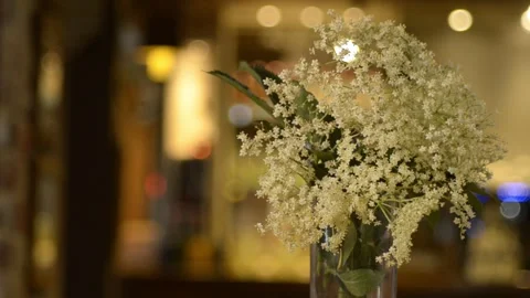 A smooth panning shot moving across a cluster of fresh elderflower, with a blurr Stock Footage 296833862