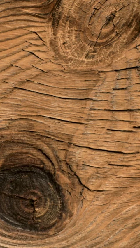 Smooth Parallax Motion Captures the Beauty of Natural Wood Textures Stock Footage 336823699