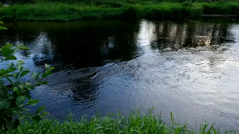 Smooth, peaceful river flow in 4k slow motion. Stock Footage 137643199