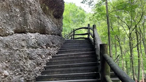Smooth POV Shot Leading Lines on a Symmetrical Wooden Bridge Stock-Footage 335269088
