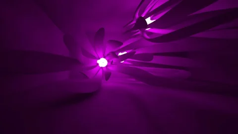 Smooth purple interior. Video stock 70541269