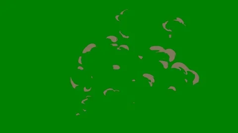 A smooth radiant fluid motion transitioning across green screen ideal Stock Footage 301386906