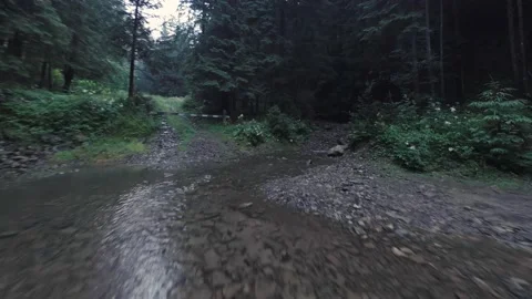 Smooth, rapid flight over a mountain river close to the water, among a dense Stock Footage 162886189