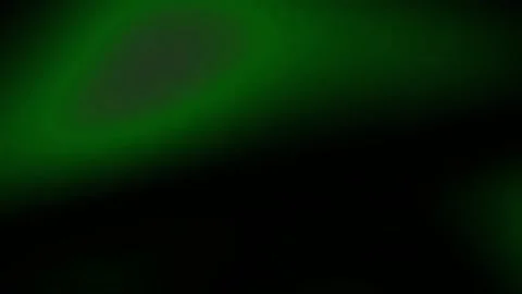 Smooth red and magenta gradient abstract background for vibrant motion design Stock Footage 342161511