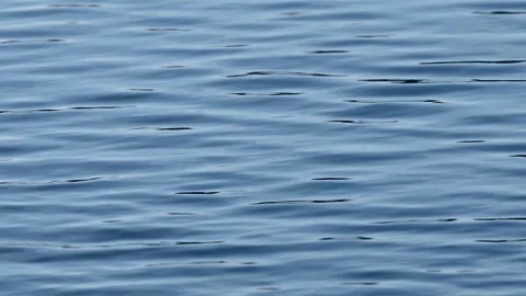 Smooth Ripples On A Lake Vídeos de archivo 333976702