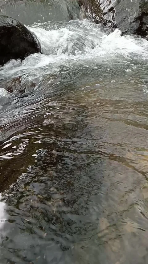 Smooth River Flow with Natural Water Movement Close-Up Stock Footage 330457575