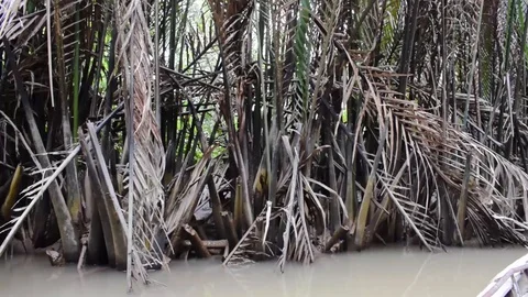 Smooth river side footage Stock Footage 128192507