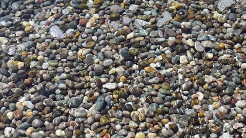Smooth river stones creating natural surface patterns, submerged in clear Stock Footage 335269084