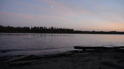 Smooth river, trees on the opposite bank Stock Footage 79549226