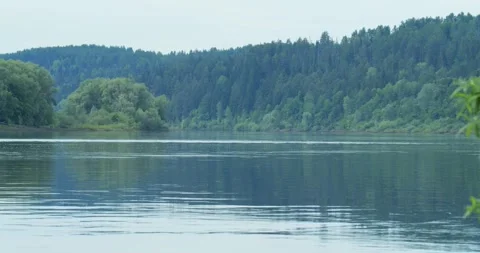 Smooth river winding past verdant forest borders, weaving around tiny green Stock Footage 313595291