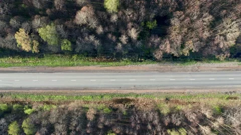 Smooth road in the middle of a deciduous forest in the countryside. The concept Stock Footage 154012589