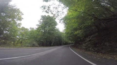 Smooth road winding through trees time lapse Video stock 52852282