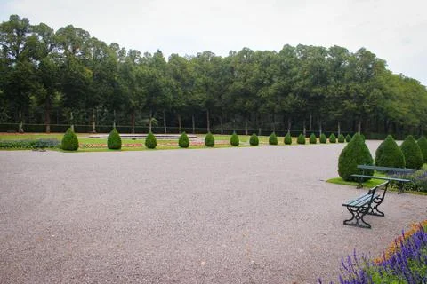 Smooth rows of cone-shaped green bushes in an ancient park Stock Photos