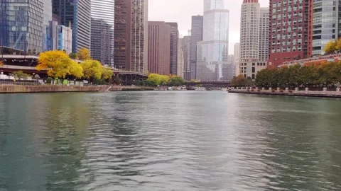 Smooth sailing on the Chicago River with fall colors and tall buildings Vídeos de archivo 225813986